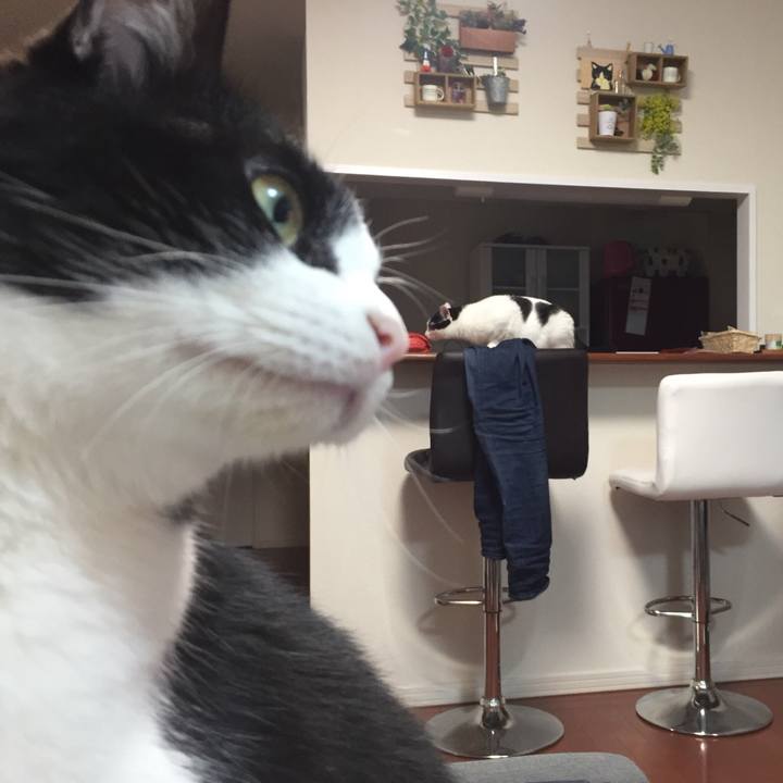 75791937 4cb2 4ea5 a739 a749902afe43