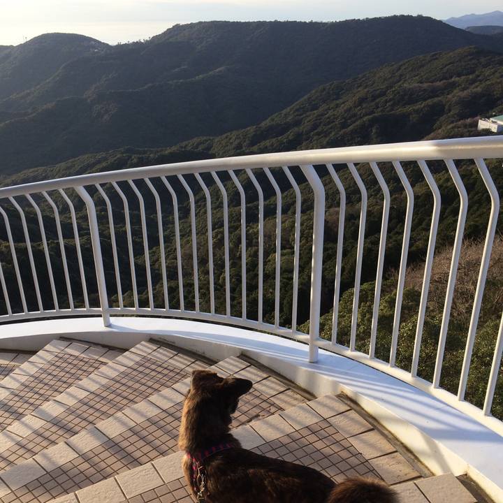 75793cc4 70d5 496f bf96 40d3a42ab15e