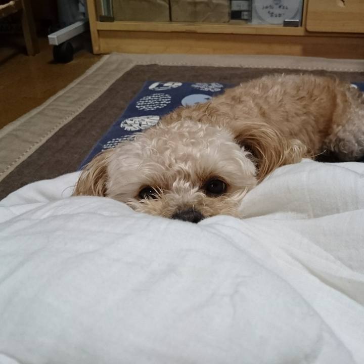 75798e5e 48fa 4ff8 912f 28b1328c6943