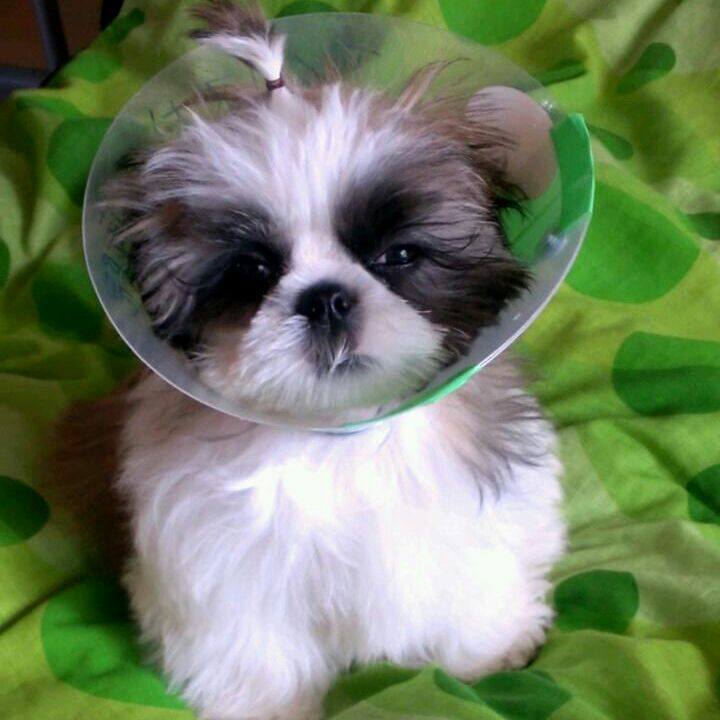 7579d47a 8e28 4b5a bf9a 0add5490bc74