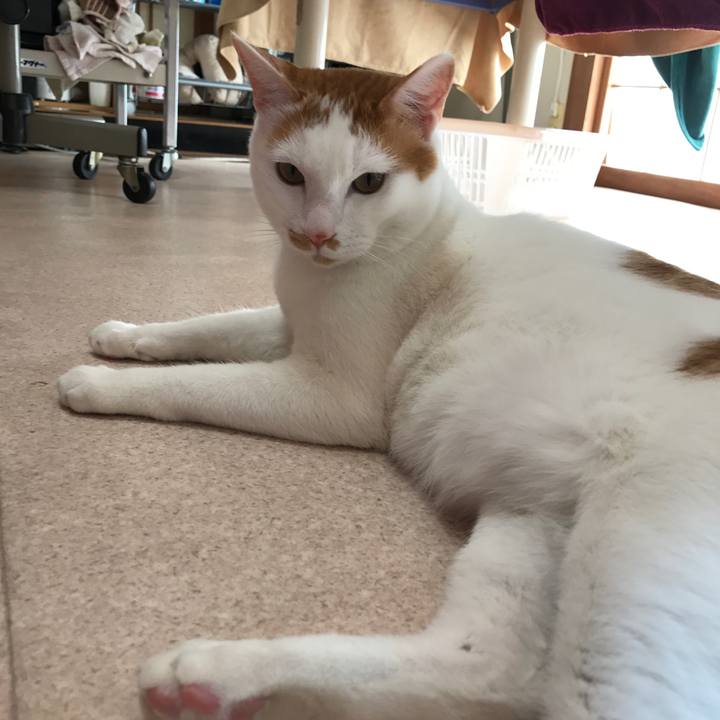 757a04b1 e597 4226 aaa5 98befad69d4a