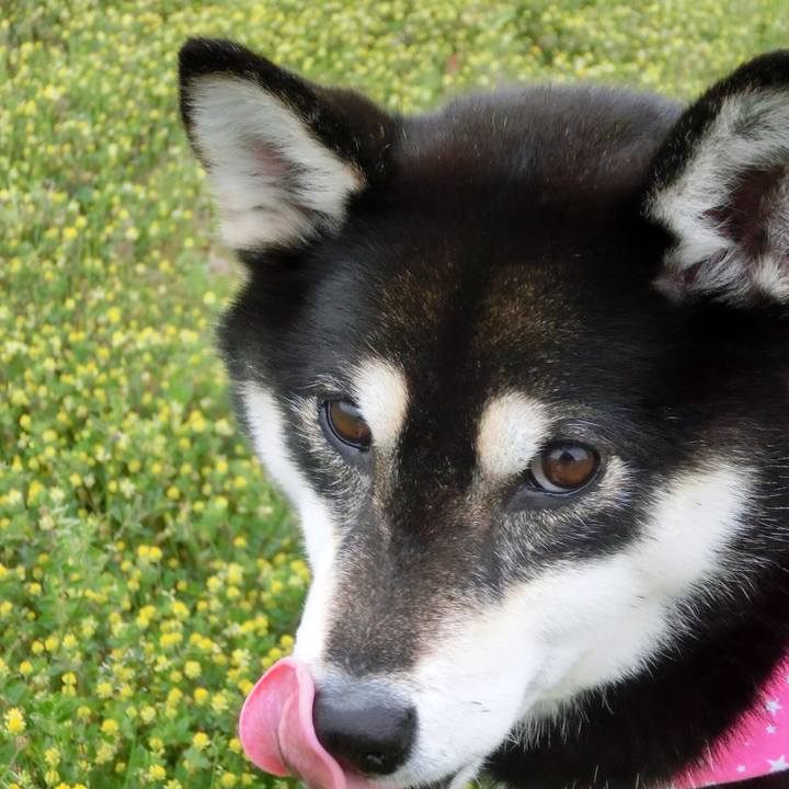 757a18ee dbfe 4661 851f bf54c2f67da1