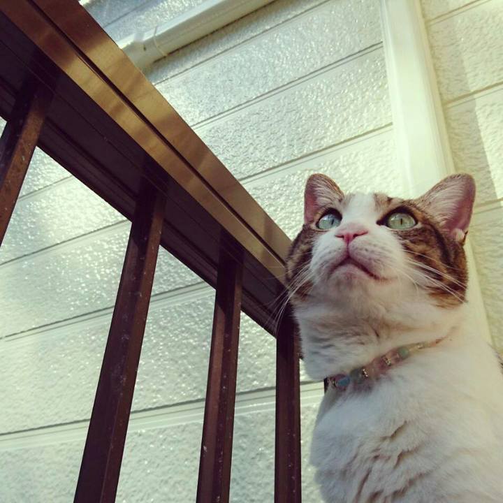 757a60cc 5d41 4e5d bdcd 14d5e65ffa98