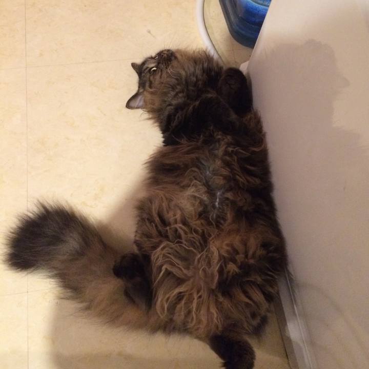 757acac7 e6c7 457a bf66 45245b97cabf