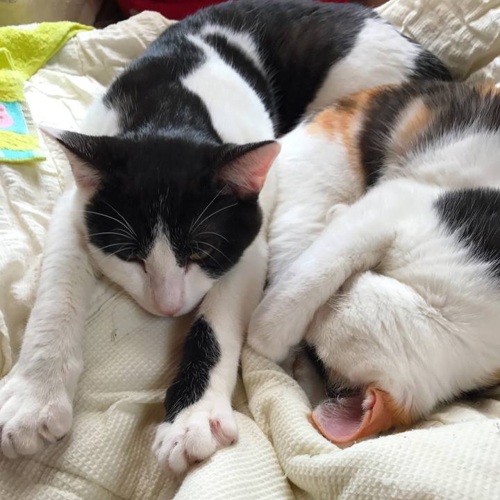 757bb8d7 91f7 4384 b324 af1b3f1c0222