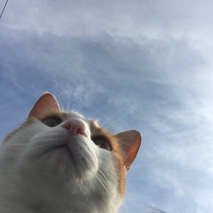 757c1265 448a 4c51 b539 66f1ec4b07e3