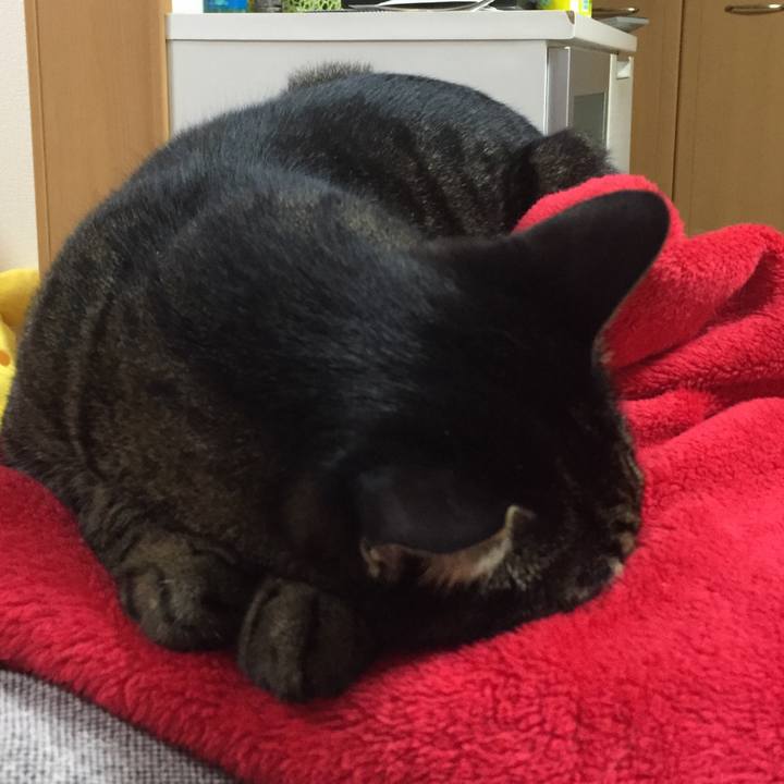 757cda36 1e16 4163 8a75 b41baeca174e