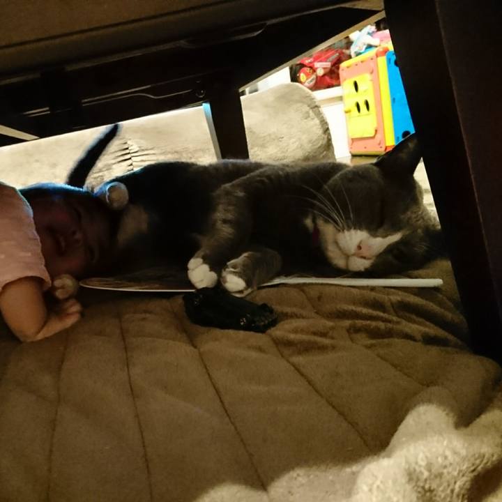 757d35f4 2679 4eb5 ba5f db213e04b3c4