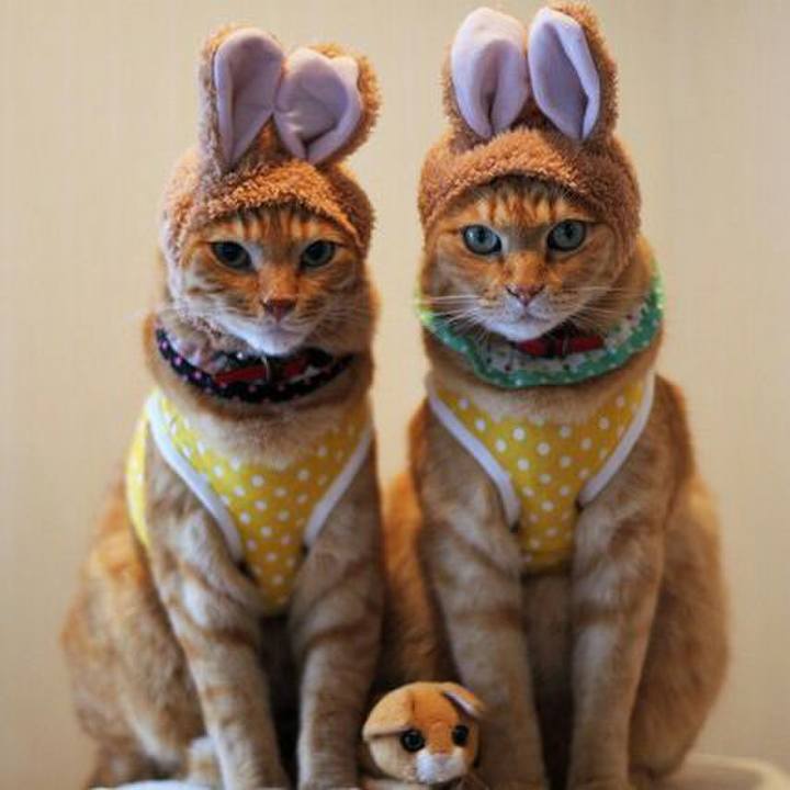 757d8bd2 2761 4140 a2ad d6fd980579e8