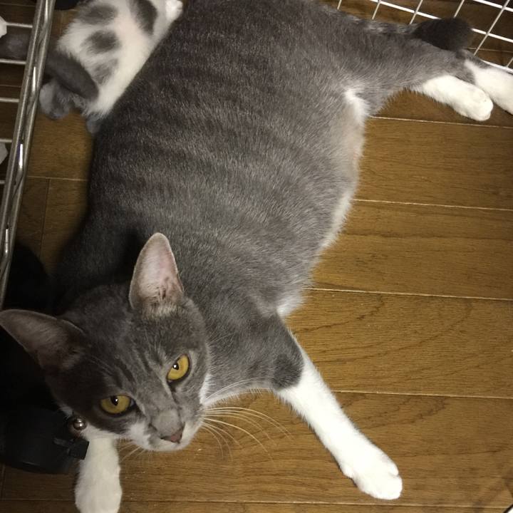 757d95a7 9934 4e71 b2c1 71bc0b4447e8