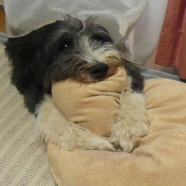 757e1f22 1b99 4d13 b34b 743c81cf1b6a