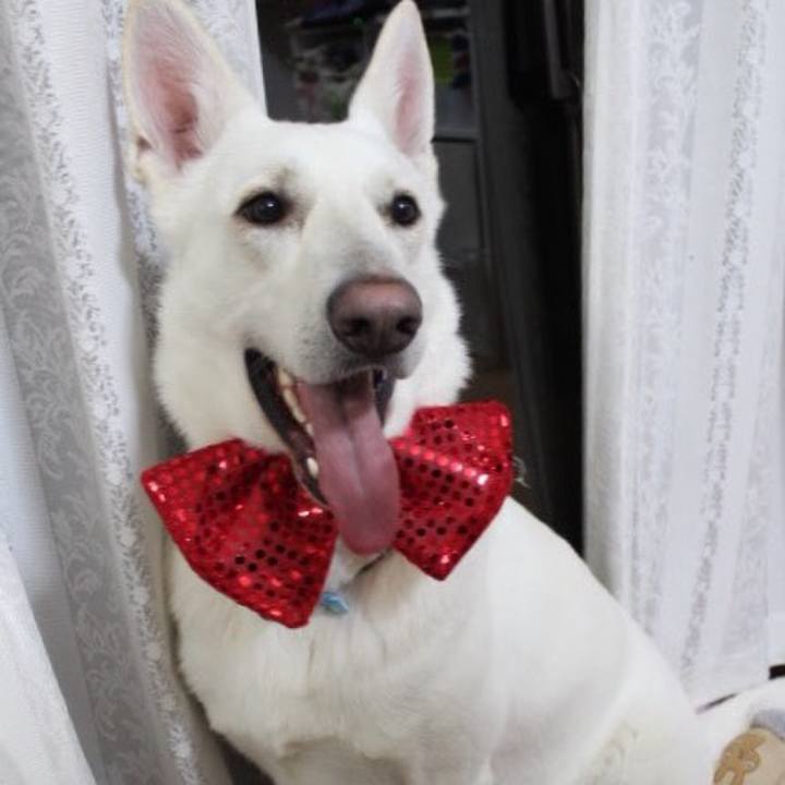 757e2f5b 5d85 40c2 8bbb 449f69abc048