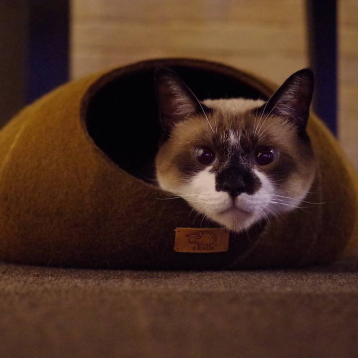 757e5b6e a3b6 44a6 83dd c9a34a5448d9