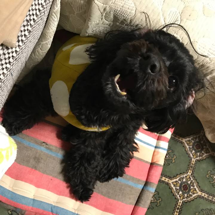 757e76da aaa1 448b 877a 1c1601518788