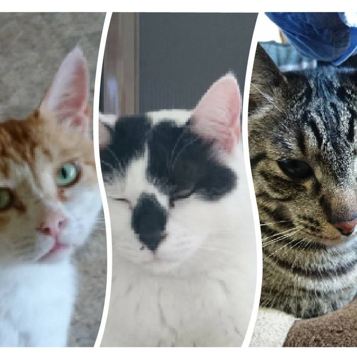 757ef262 603f 45a7 b885 4f63ae354c0e