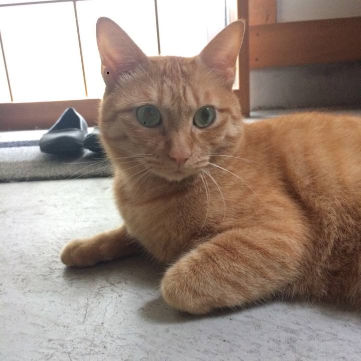 757f11f5 7456 4c97 8bfd 2504645945e8