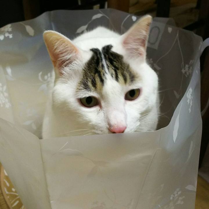 757fa601 f513 41dc 854f bce0cc535a7d