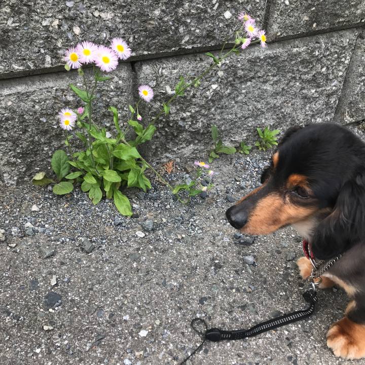 75802aca 597f 463c a9fa 9caedbbd92d7