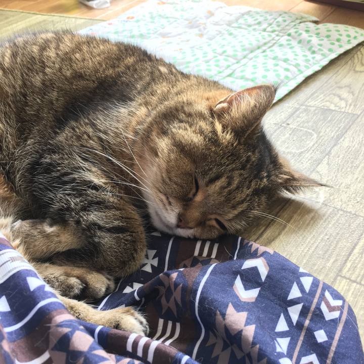 75806b3e 44c8 4b28 888c 71d77d459cfc