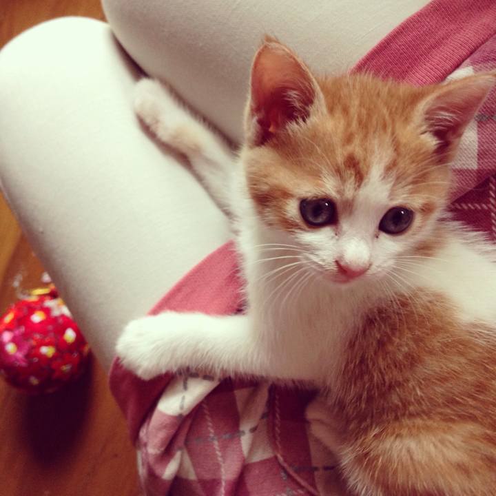 7580c47d 4170 49de b281 f6702cc43451