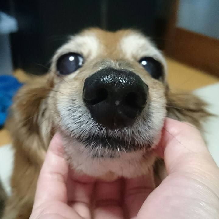 7581ce73 a36d 4d27 95d0 f2fea75777c7