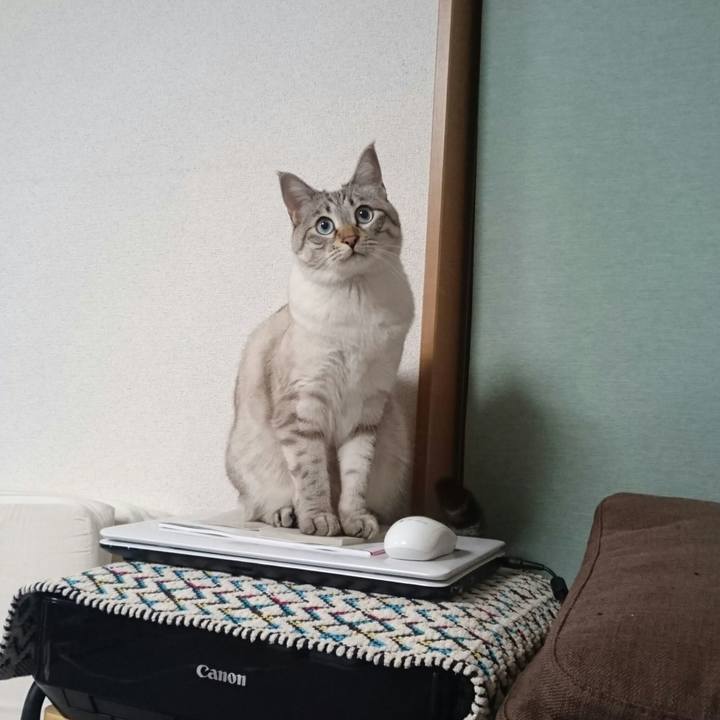 758268fc 9f93 41ba b696 243be2ca7ec0