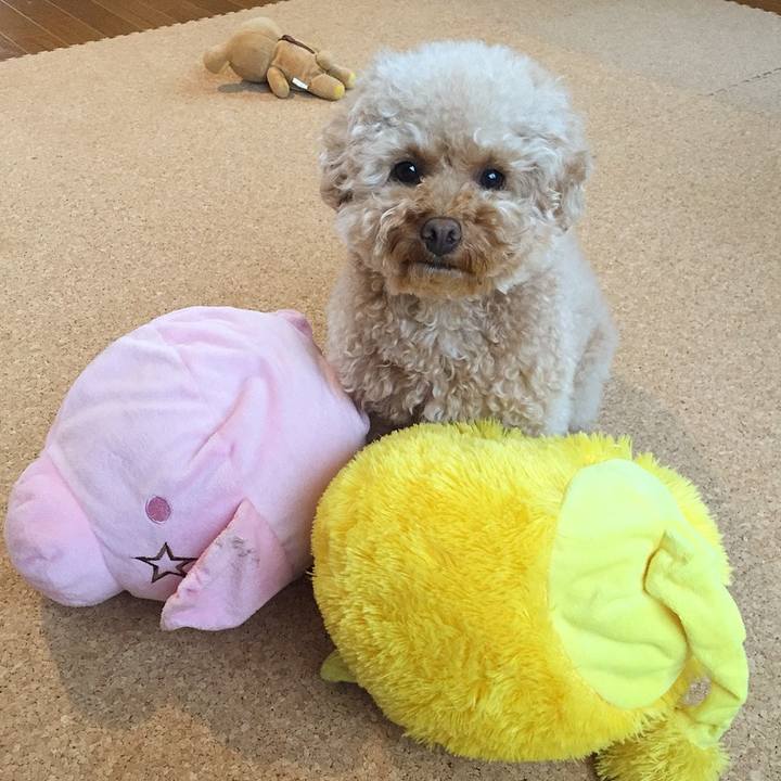 75826c1a 864b 4c48 934f 5279dd67c7c5