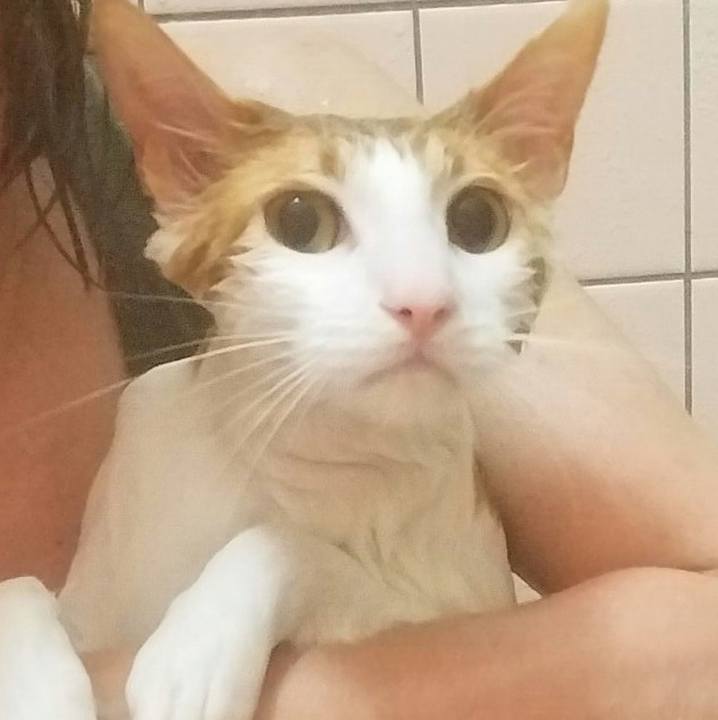 7582f58e 5c40 4ba9 8c9f c9eb515e9d97