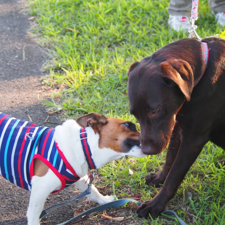 7582fcac 8c82 4f9a 80fb 77f3cd3d5d2f