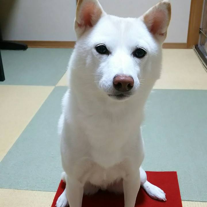 7583821e de9f 40d6 a84d 65d2e0c40a46