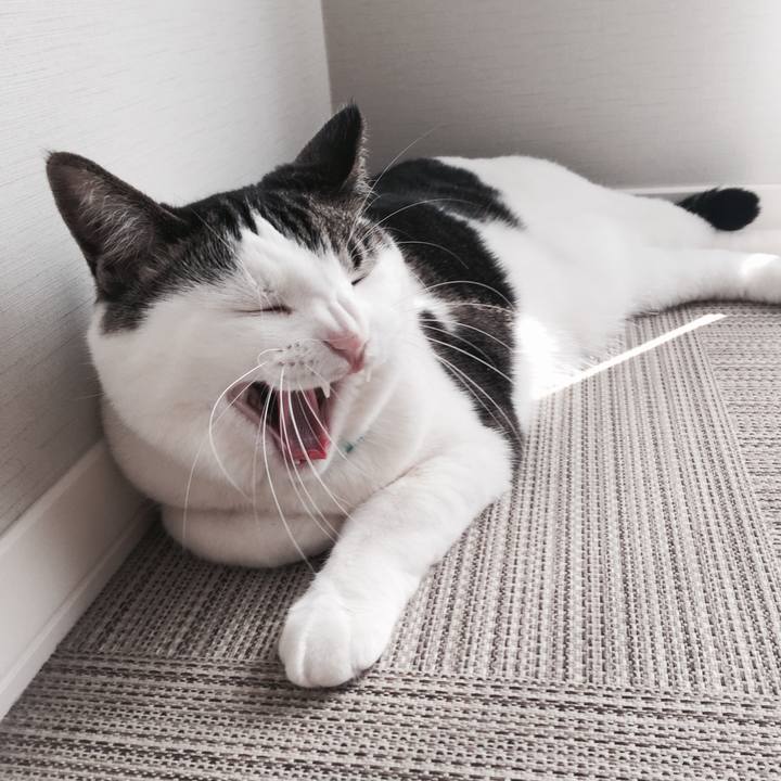 75845854 fc01 4ee8 b087 c3a858c2b65b