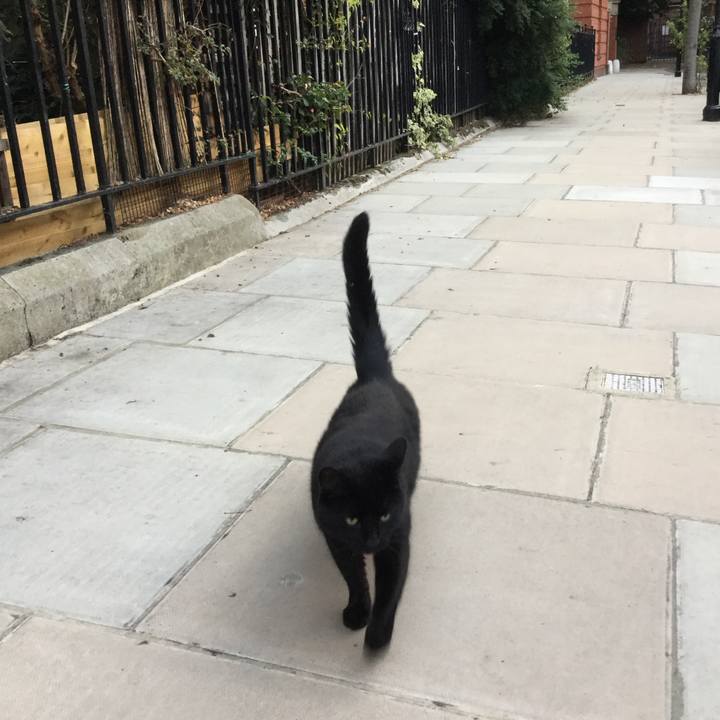 75852e82 9c3f 4ac0 86cd 6732c7cb557f