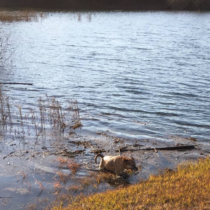 75855456 07e9 40c1 a959 7b5e75fc7284