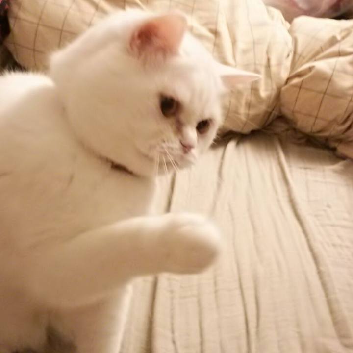 758573f7 83da 42c4 bd5f fc6108a67fb5