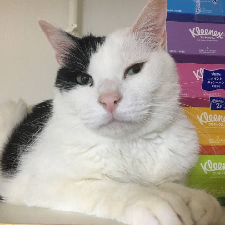 7585afb7 71c3 4040 95b1 bd1671d49ae3