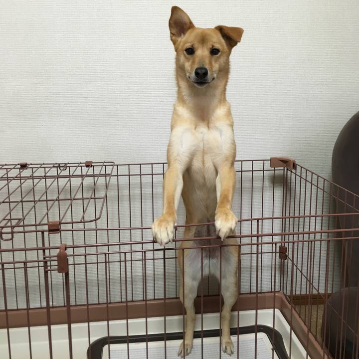 7585e05c e014 4948 b6cb 9fd35df03e04