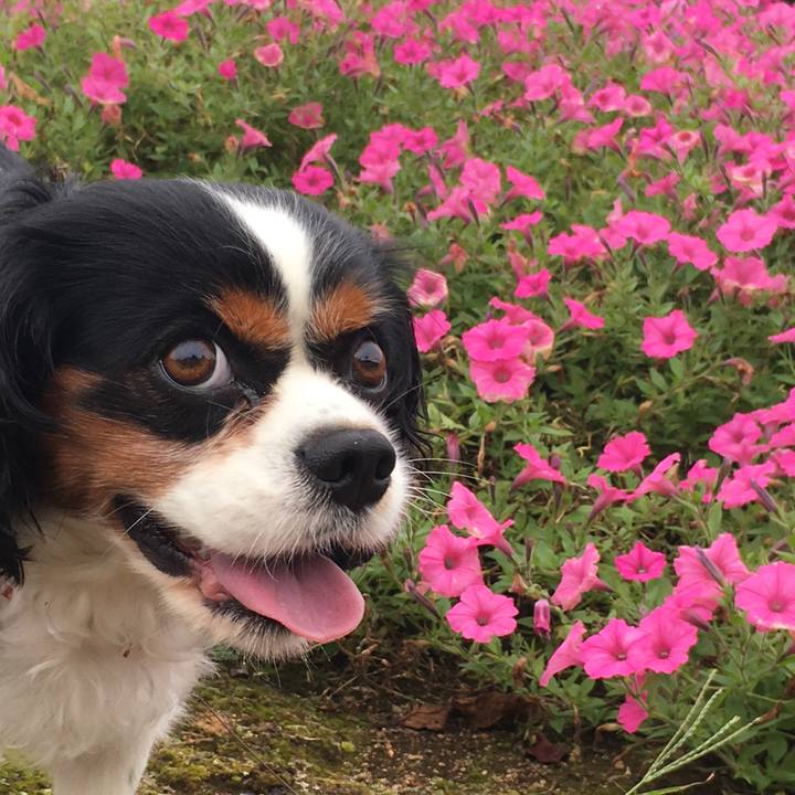 7585fc41 ba8f 4e2e 8e08 4933fa9596ba