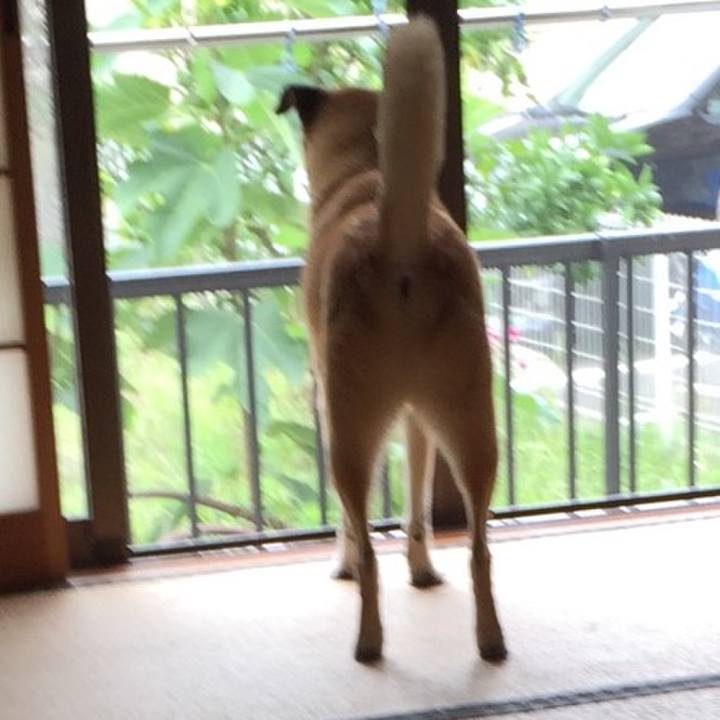 75865067 5b2a 40f6 96e6 44c620726a9e