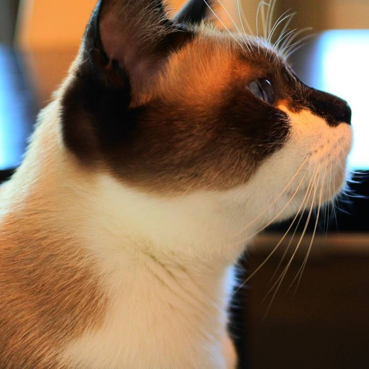 7586a98f 857c 4466 81f2 16d778699958