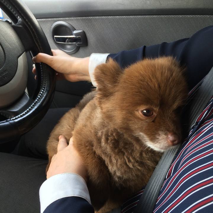 7586b016 8321 475a b2a2 2fce7cc199af