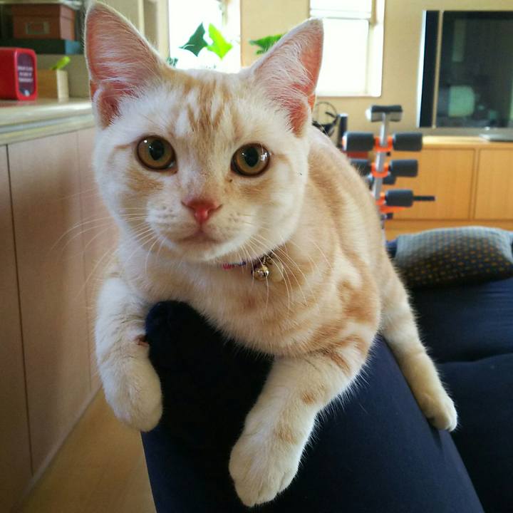 7586c7db 0a26 4f06 9101 233fe8fbc263