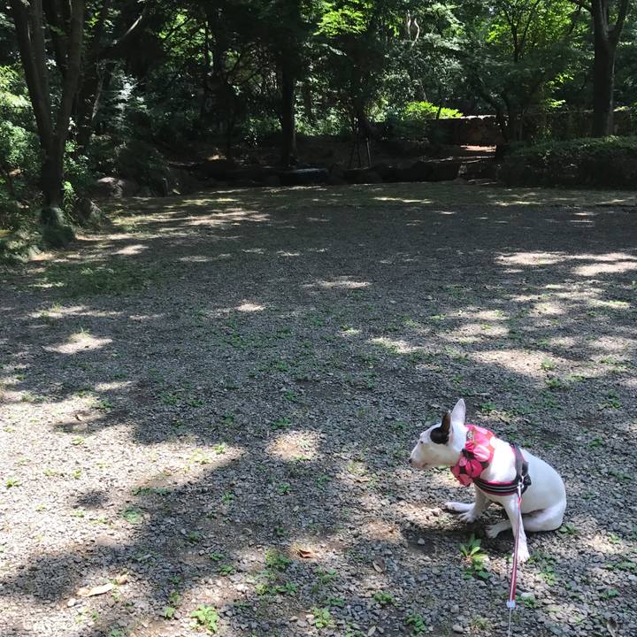 7586c813 b12e 43e9 b25a 6fb96be22390