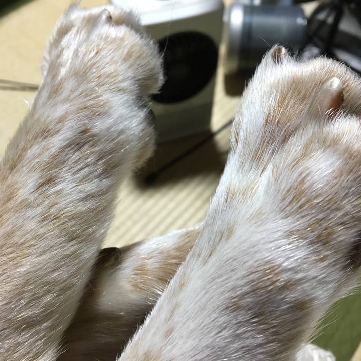 7586fbfa 218c 415c 9ea9 3f7af7753bfe