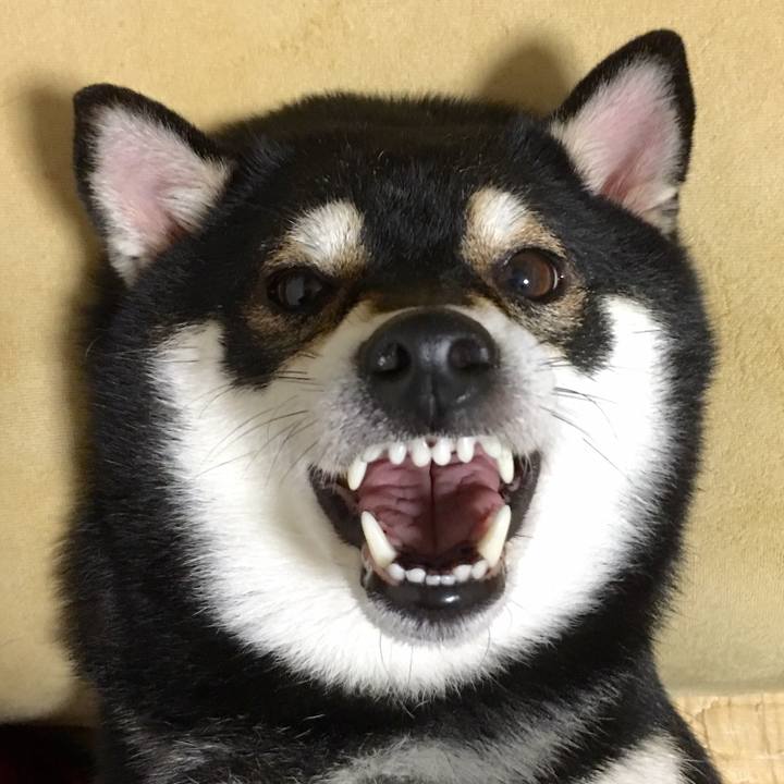 7587c498 f39d 439f 8f6e ace2edd5df3c