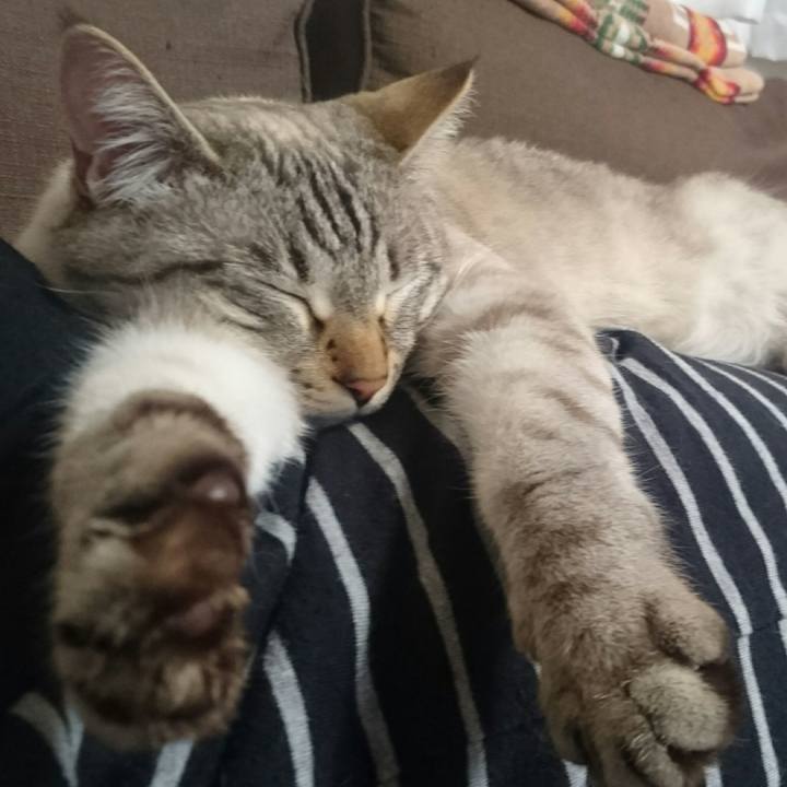 7587ccf4 e184 4d70 a73b cf7ffc812686