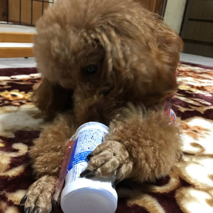 7587cde0 fac0 4a81 bfb8 2c1c83f1a15f