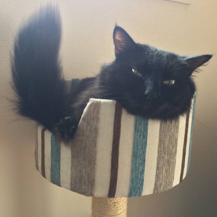 7588dd66 f6b0 4f05 b42f 763e5ab42fb2