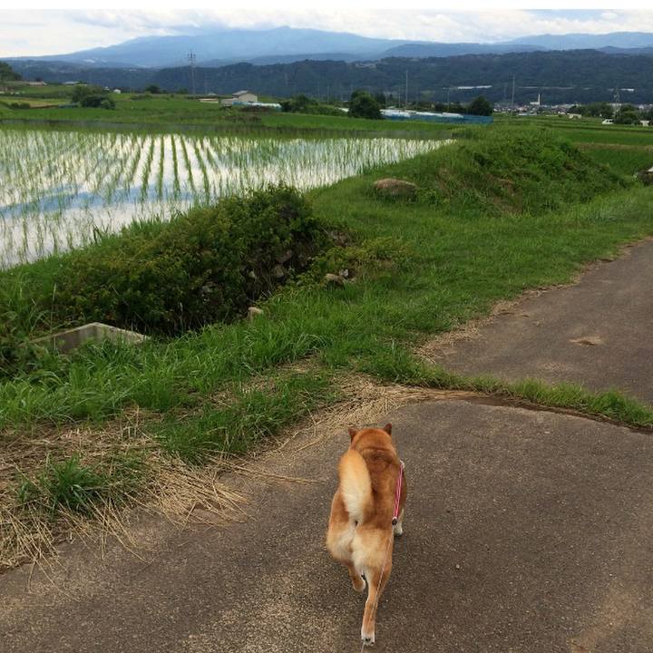 758911d4 ad81 4e84 95eb 73a46c523c34