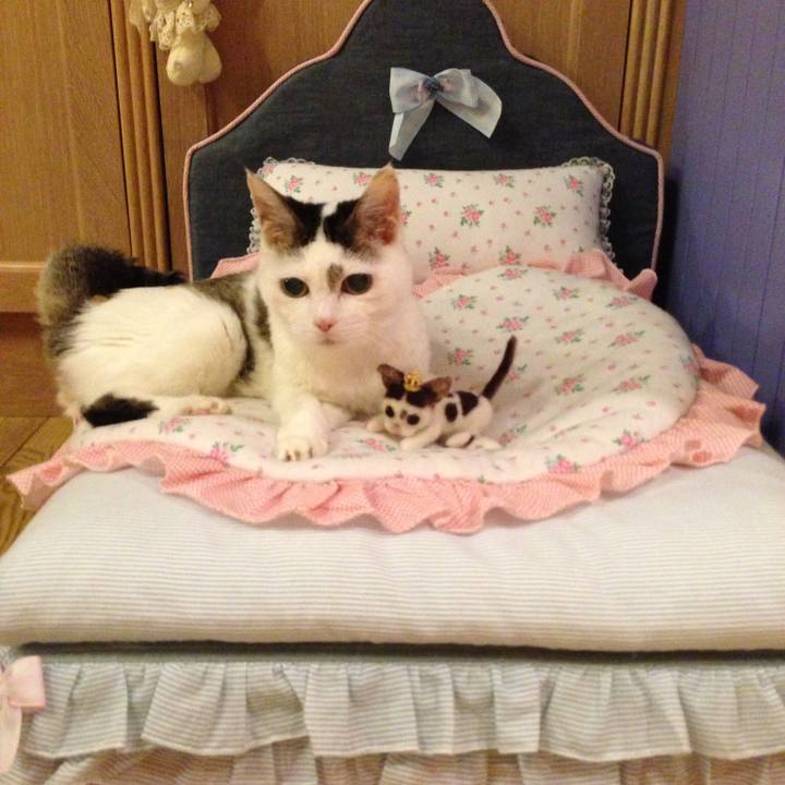 758a781b 4a0b 491d b194 f4fb07863331