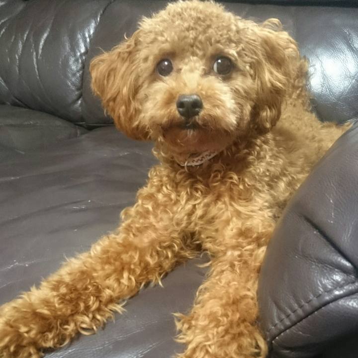 758c10ed 840e 404c 81b5 8a6e7a382aab